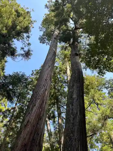 伊勢神宮内宮（皇大神宮）(三重県)