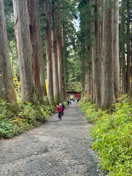 戸隠神社九頭龍社(長野県)
