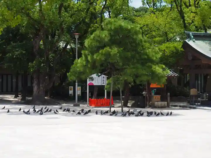 筥崎宮(福岡県)