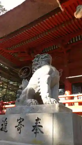 出羽神社(出羽三山神社)～三神合祭殿～の狛犬