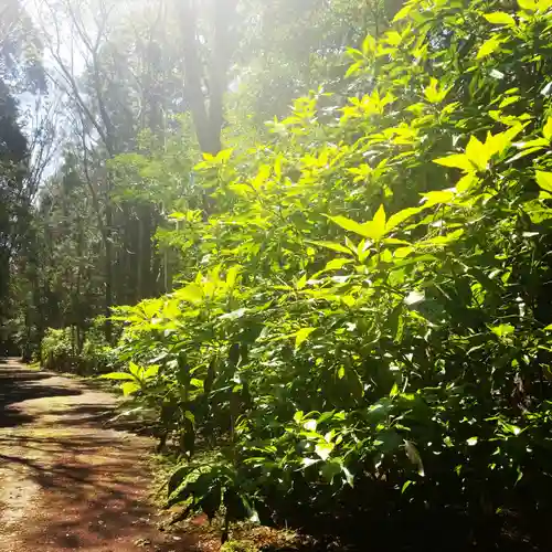鹿島神宮の自然