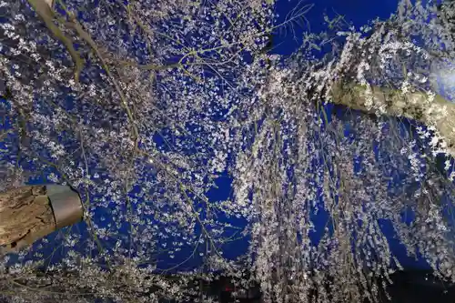 田村神社の庭園