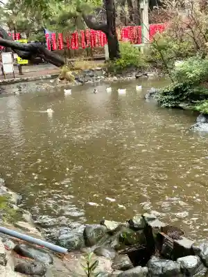 鶴峯山稲荷社（平塚八幡宮境内社）(神奈川県)