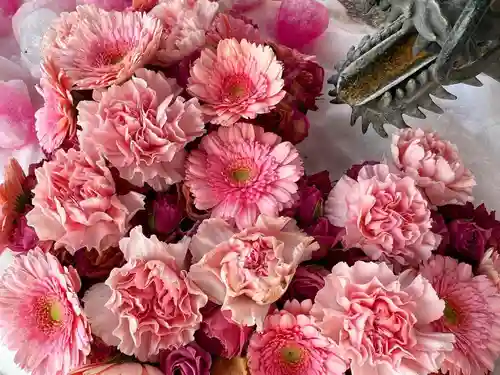 札幌諏訪神社の手水舎