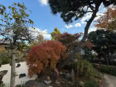 蓮華寺(東京都)