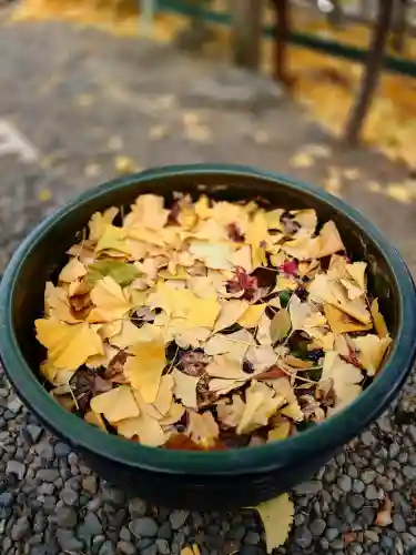 弘明寺の{uncategorized: "未分類", other: "その他", undefined: "問題あり", building: "その他建物", grave: "お墓", sacred_gate: "鳥居", guardian: "狛犬", statue: "像", buddha: "仏像", history: "歴史", nature: "自然", garden: "庭園", animal: "動物", pagoda: "塔", temizu: "手水舎", mountain_gate: "山門・神門", sanctuary: "本殿・本堂", subordinate: "末社・摂社", art: "芸術", scenery: "景色", jizo: "地蔵", ema: "絵馬", goshuin: "御朱印", omikuji: "おみくじ", items: "授与品その他", amulet: "お守り", goshuincho: "御朱印帳", eats: "食事", festival: "お祭り", votive_dance: "神楽", shichigosan: "七五三参", wedding: "結婚式", experience: "体験その他", initially: "初詣", around: "周辺", anti_infection: "感染症対策"}