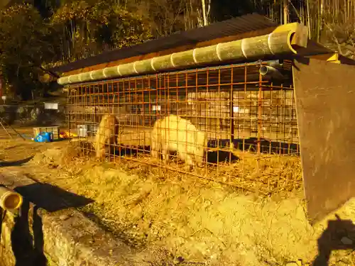 菅原神社の動物