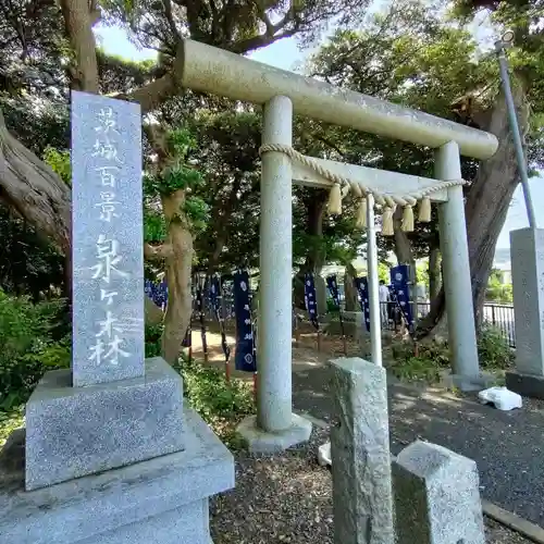 泉神社の鳥居