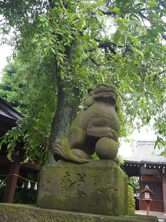 氷川神社の狛犬
