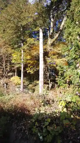 諏訪大社(長野県)