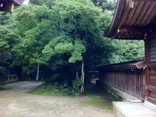 速谷神社の自然