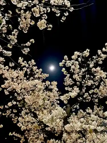 上目黒氷川神社(東京都)