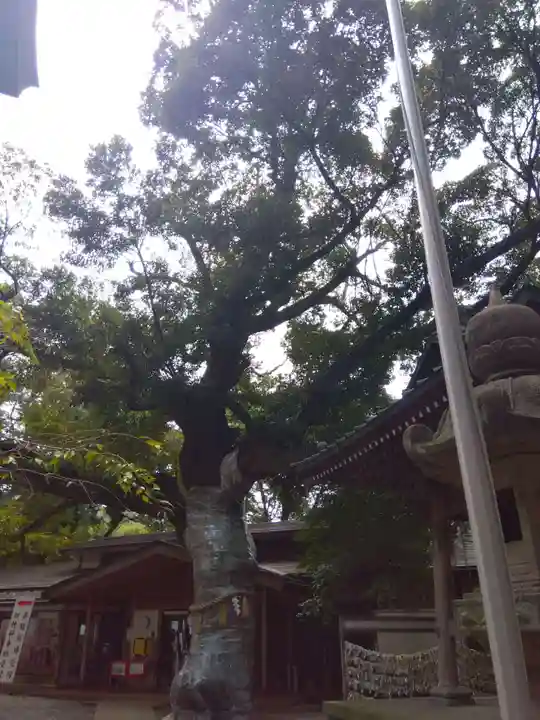 座間神社(神奈川県)