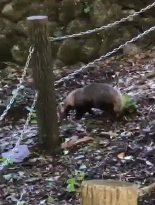来迎院(奈良県)