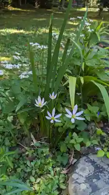 十輪寺(京都府)