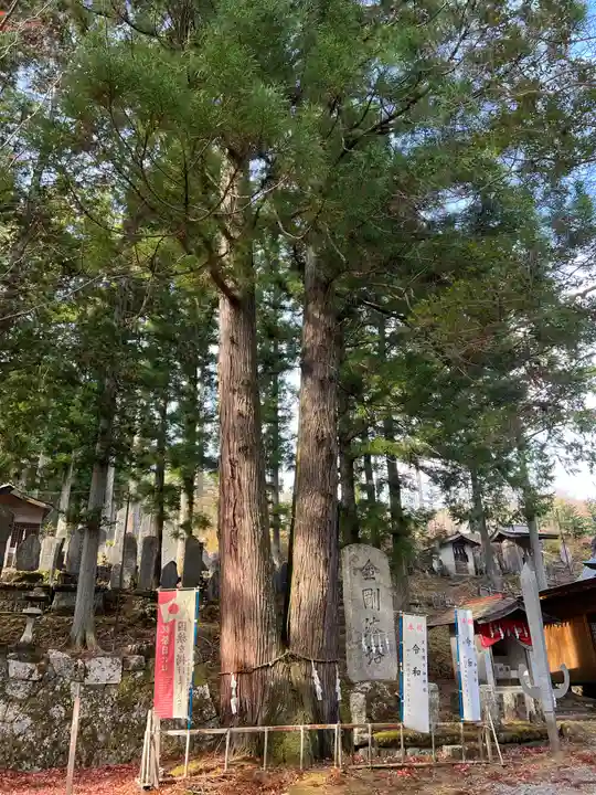駒ヶ嶽神社(前宮)の自然
