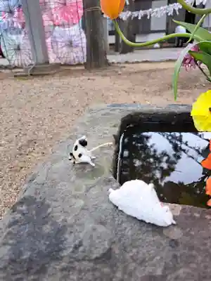 春日神社(徳島県)