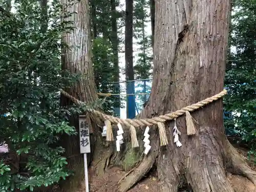 坪沼八幡神社のその他建物