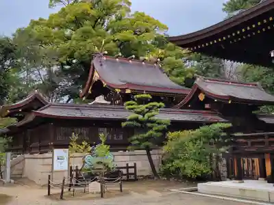 弓弦羽神社(兵庫県)