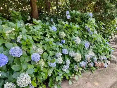 海蔵寺(神奈川県)
