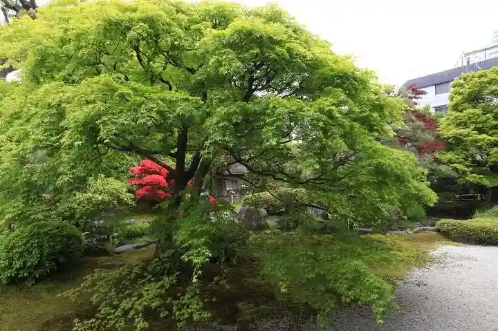 正傳(正伝)永源院(京都府)