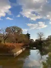 東寺（教王護国寺）の建物その他