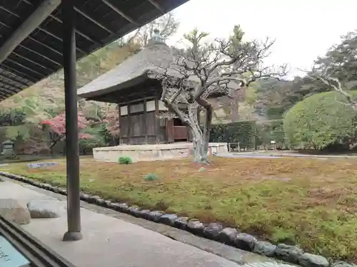 長壽寺（長寿寺）のその他建物