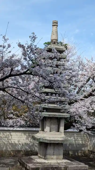 妙顯寺(妙顕寺)(京都府)