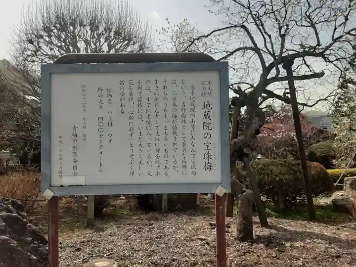 地蔵院(東京都)