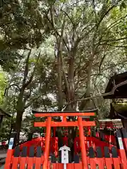 賀茂御祖神社（下鴨神社）(京都府)