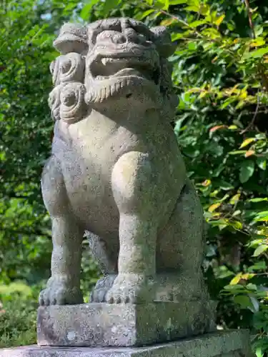 報徳二宮神社の狛犬