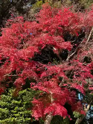 川尻八幡宮(神奈川県)
