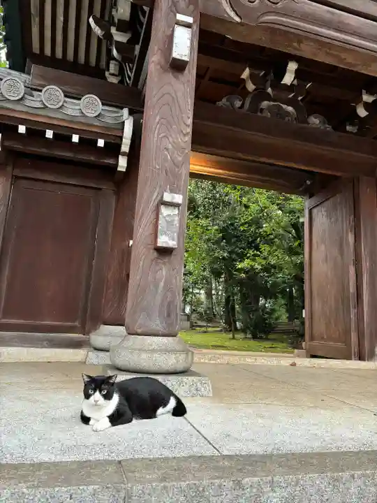 法明寺(東京都)
