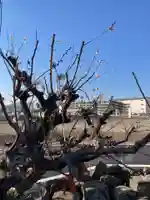 隆盛寺(神奈川県)