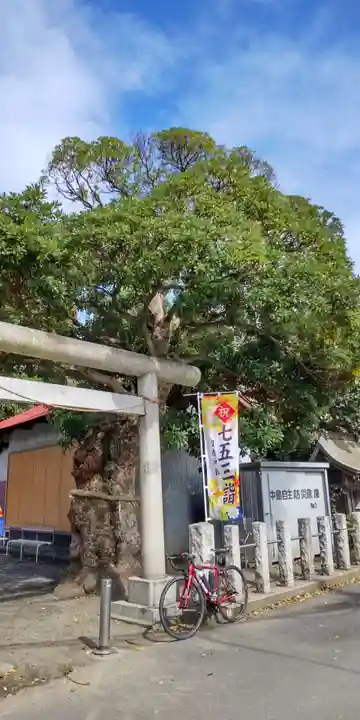 日枝神社の鳥居