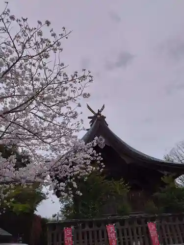 疋野神社(熊本県)