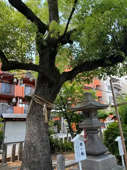 東高津宮(大阪府)