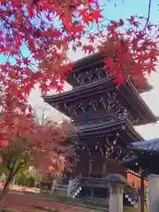 真正極楽寺（真如堂）(京都府)