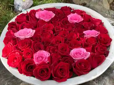 法輪寺の手水舎