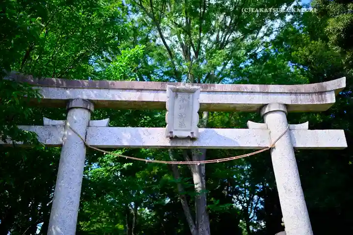 指扇氷川神社(埼玉県)