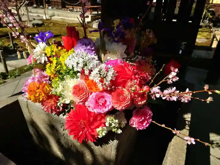 勝林寺(京都府)