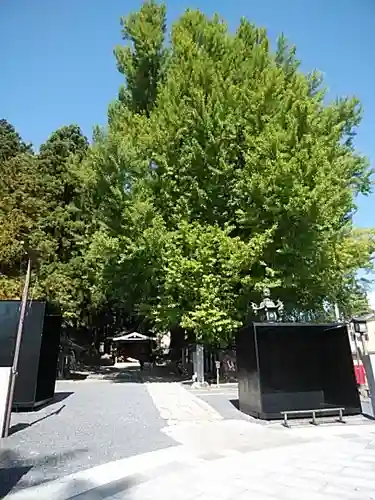 熊野大社のその他建物