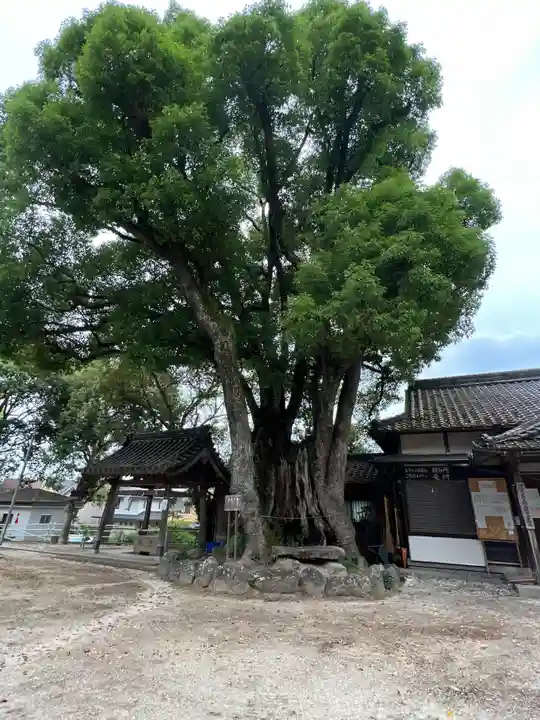 八幡宮(寺部八幡宮)(愛知県)