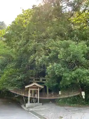 金持神社(鳥取県)