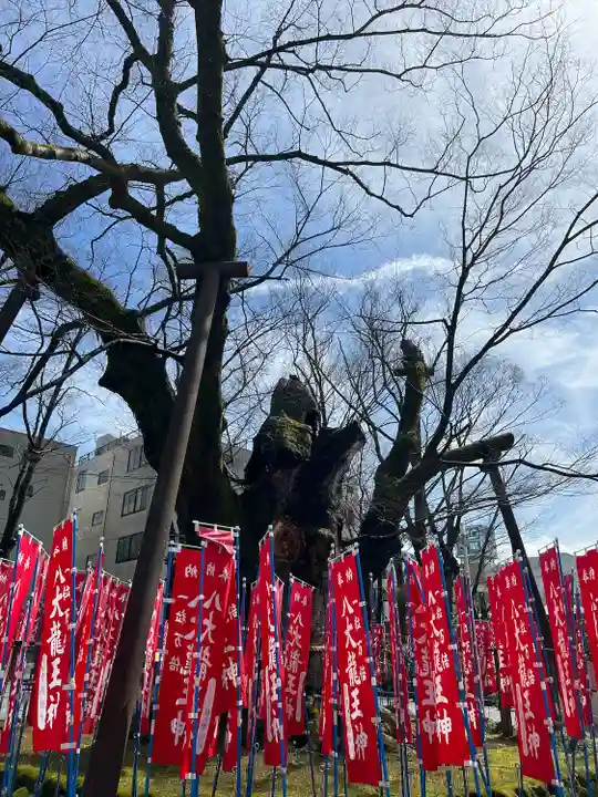 秩父今宮神社(埼玉県)