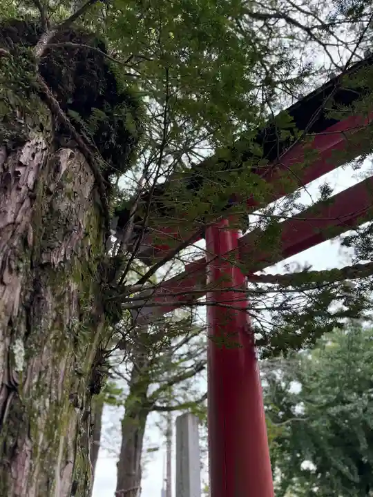 淺間神社(忍野八海)(山梨県)