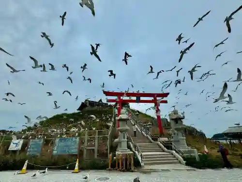 蕪嶋神社の{uncategorized: "未分類", other: "その他", undefined: "問題あり", building: "その他建物", grave: "お墓", sacred_gate: "鳥居", guardian: "狛犬", statue: "像", buddha: "仏像", history: "歴史", nature: "自然", garden: "庭園", animal: "動物", pagoda: "塔", temizu: "手水舎", mountain_gate: "山門・神門", sanctuary: "本殿・本堂", subordinate: "末社・摂社", art: "芸術", scenery: "景色", jizo: "地蔵", ema: "絵馬", goshuin: "御朱印", omikuji: "おみくじ", items: "授与品その他", amulet: "お守り", goshuincho: "御朱印帳", eats: "食事", festival: "お祭り", votive_dance: "神楽", shichigosan: "七五三参", wedding: "結婚式", experience: "体験その他", initially: "初詣", around: "周辺", anti_infection: "感染症対策"}