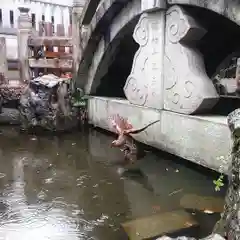 若宮神明社の庭園