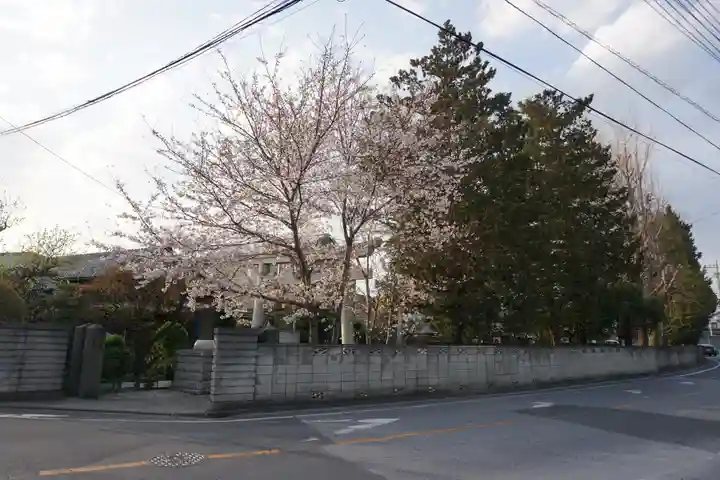上青木氷川神社の周辺