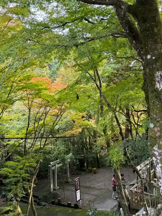 大矢田神社(岐阜県)